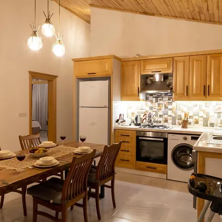 Agarta Villas *